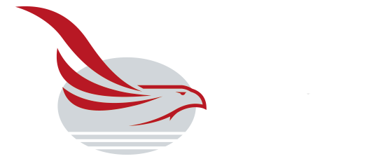 Logotipo Águia Contabilidade